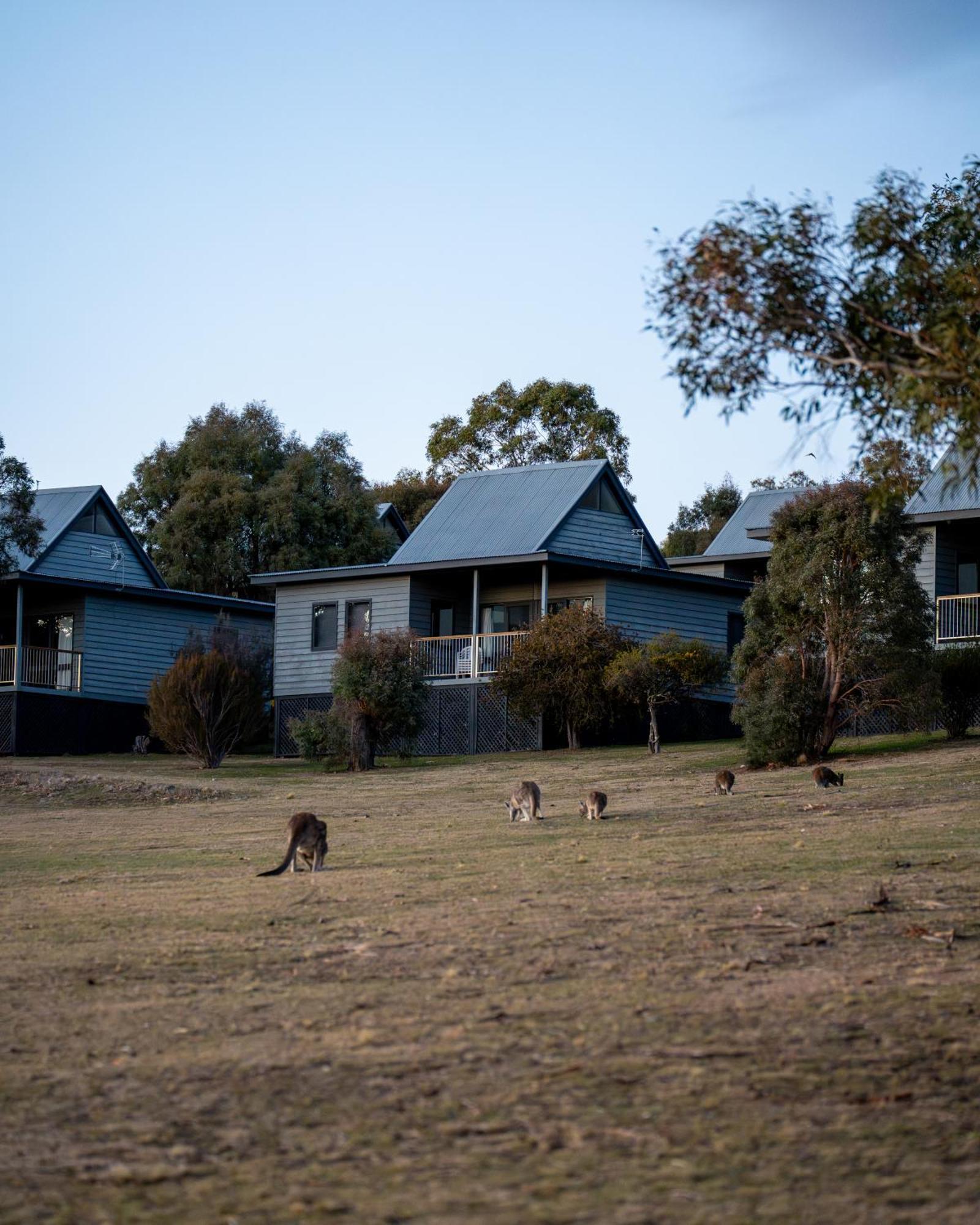 Adventist Alpine Village Jindabyne Eksteriør billede